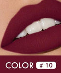 Waterproof 12 Colors Lips Makeup Lipstick Lip Gloss Long